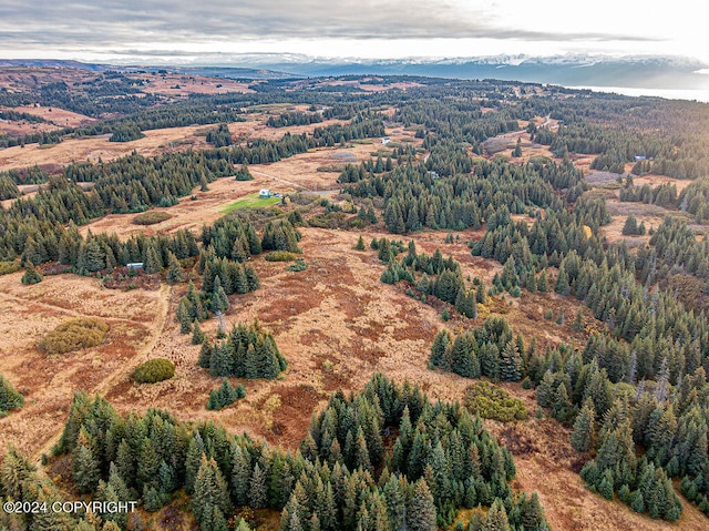 61291 Crossman Ridge Rd, Homer, AK 99603 - photo 11