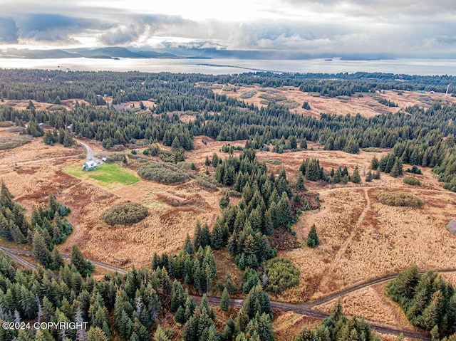 61291 Crossman Ridge Rd, Homer, AK 99603 - photo 12