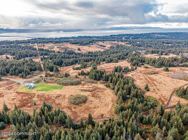 61291 Crossman Ridge Rd, Homer, AK 99603 - photo 13