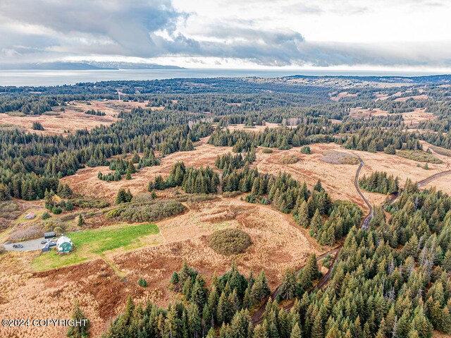 61291 Crossman Ridge Rd, Homer, AK 99603 - photo 14