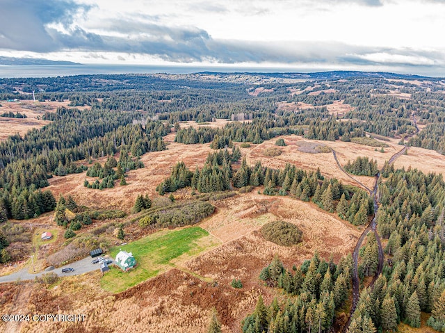 61291 Crossman Ridge Rd, Homer, AK 99603 - photo 15