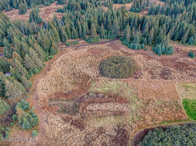 61291 Crossman Ridge Rd, Homer, AK 99603 - photo 17