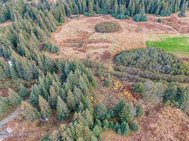 61291 Crossman Ridge Rd, Homer, AK 99603 - photo 18