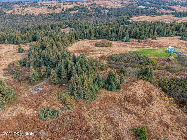 61291 Crossman Ridge Rd, Homer, AK 99603 - photo 19