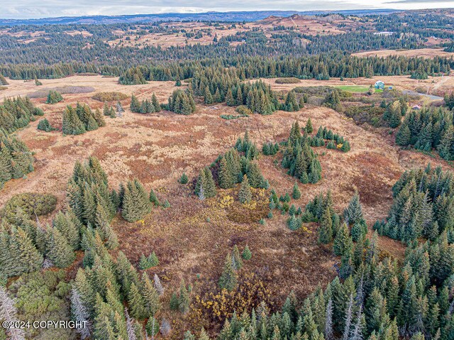 61291 Crossman Ridge Rd, Homer, AK 99603 - photo 20