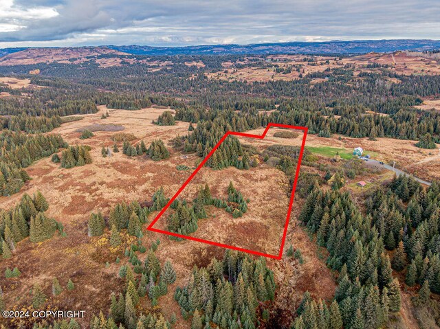 61291 Crossman Ridge Rd, Homer, AK 99603 - photo 4