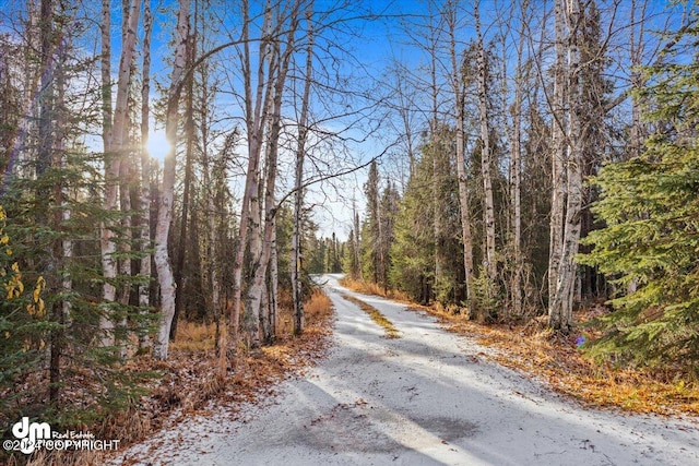 view of road