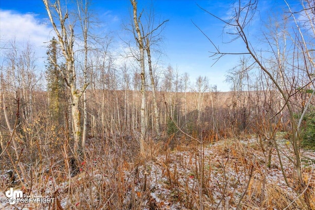 view of local wilderness