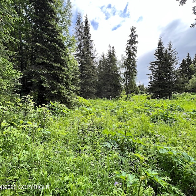 17515 Arcturus Loop, Ninilchik, AK 99639