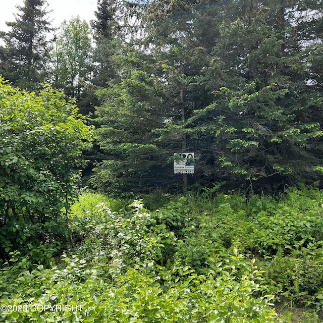 17515 Arcturus Loop, Ninilchik, AK 99639