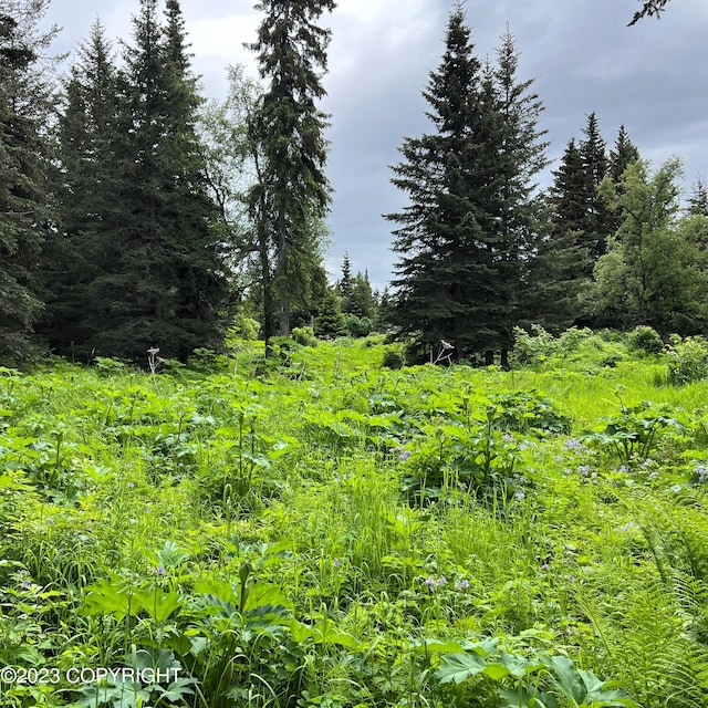 17515 Arcturus Loop, Ninilchik, AK 99639