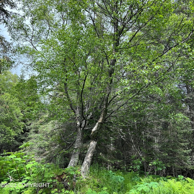 17515 Arcturus Loop, Ninilchik, AK 99639