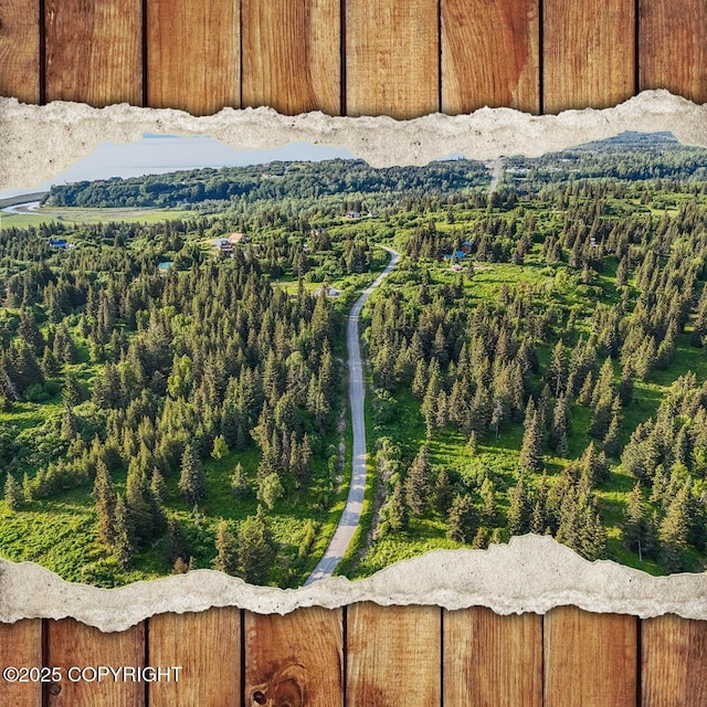 17515 Arcturus Loop, Ninilchik, AK 99639