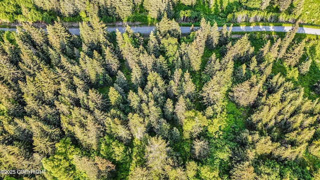 17515 Arcturus Loop, Ninilchik, AK 99639