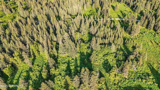 17515 Arcturus Loop, Ninilchik, AK 99639