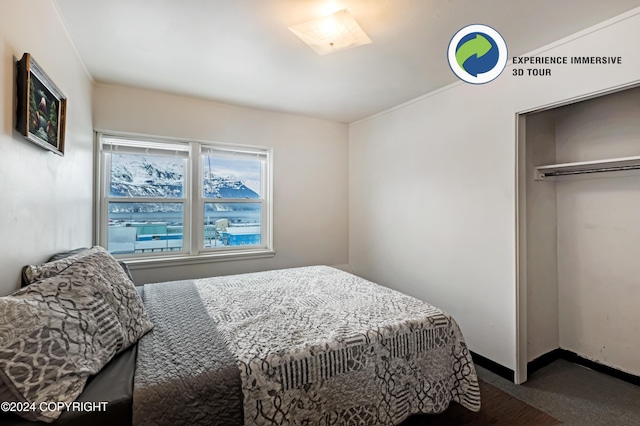 bedroom with carpet flooring and a closet