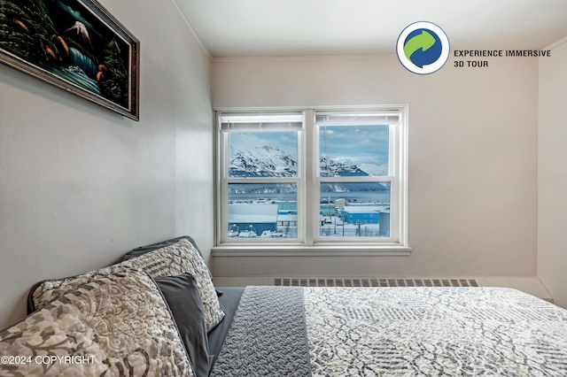 bedroom featuring radiator heating unit and ornamental molding