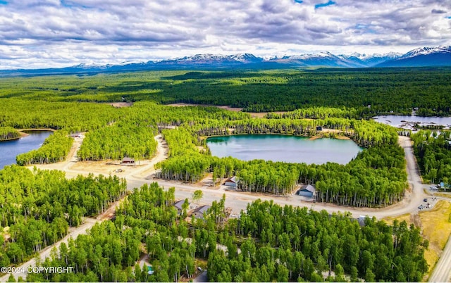 bird's eye view featuring a water and mountain view