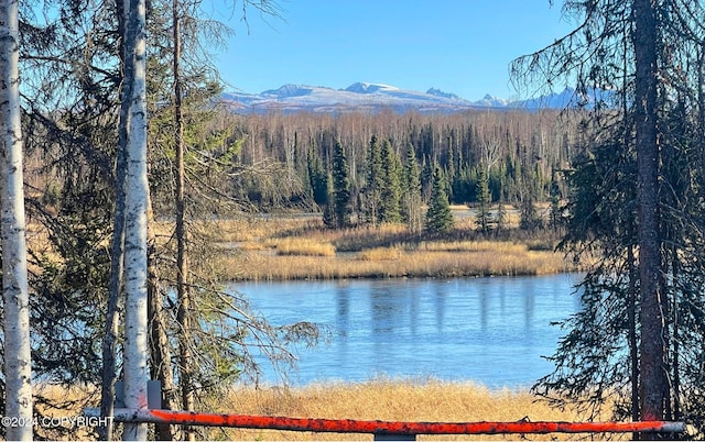 view of water feature with a mountain view