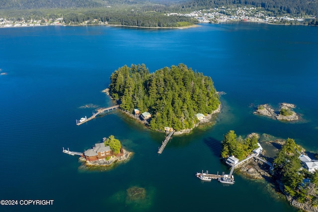 bird's eye view with a water view