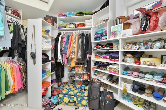 walk in closet with carpet