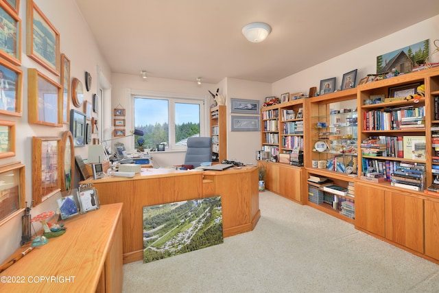 view of carpeted home office