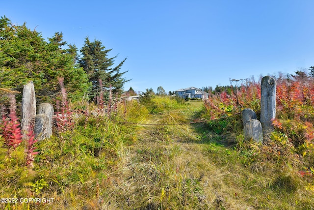 view of local wilderness