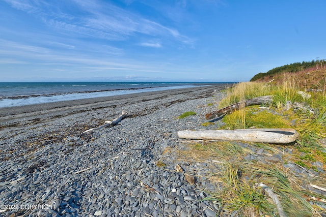 view of water feature featuring a beach view