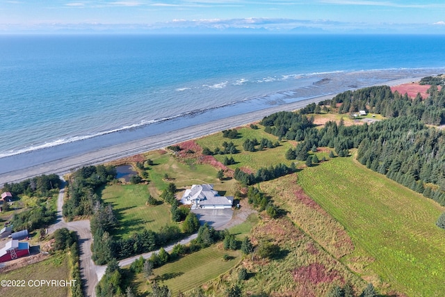 birds eye view of property with a water view and a beach view