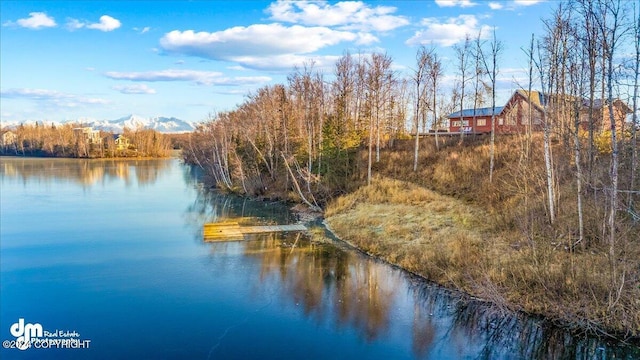 property view of water