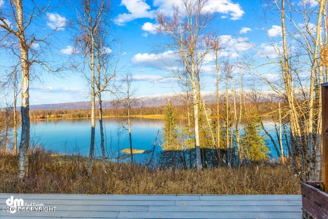 property view of water with a mountain view