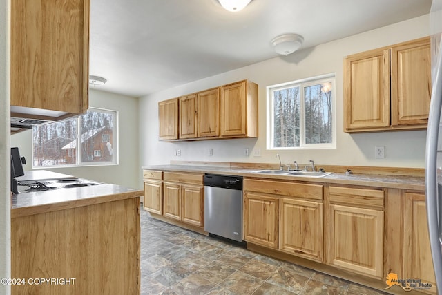 kitchen with sink, dishwasher, and range