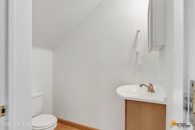 bathroom featuring toilet, vanity, and wood-type flooring