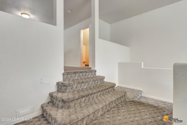 staircase featuring carpet flooring