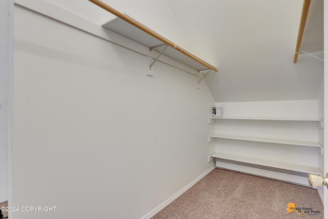 spacious closet featuring a baseboard radiator and light colored carpet