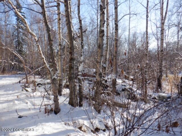 view of snow covered land