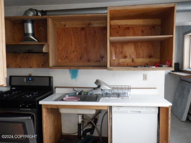 kitchen with sink, dishwasher, and black gas stove