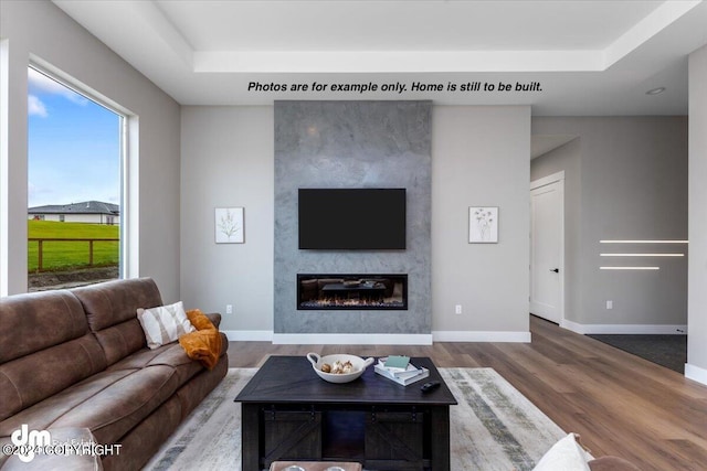 living room featuring hardwood / wood-style flooring, a large fireplace, and a raised ceiling