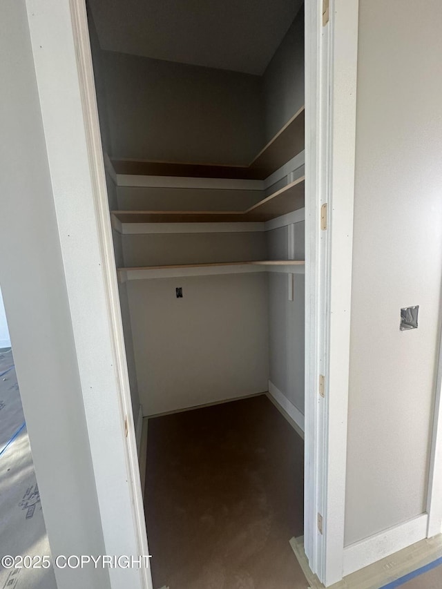 view of closet