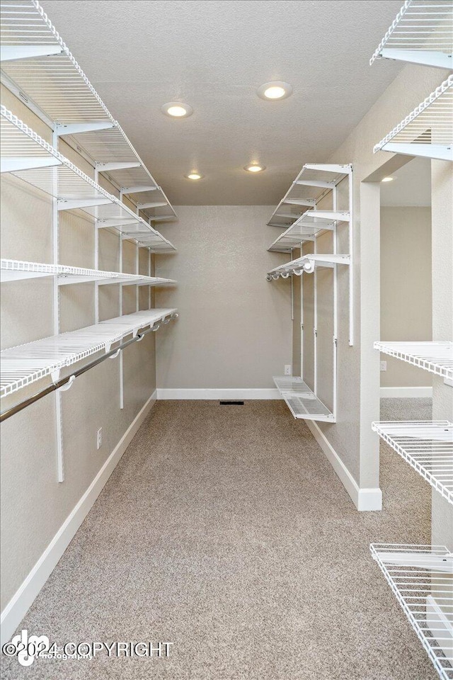 spacious closet with carpet floors