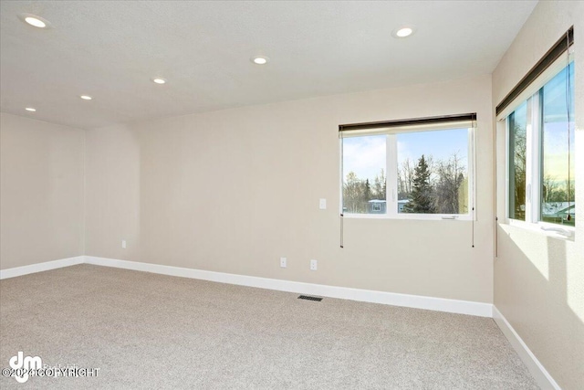 unfurnished room with carpet floors and a healthy amount of sunlight