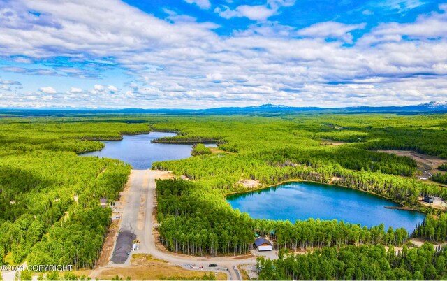 46573 S Fishermans Hop Rd, Willow, AK 99694