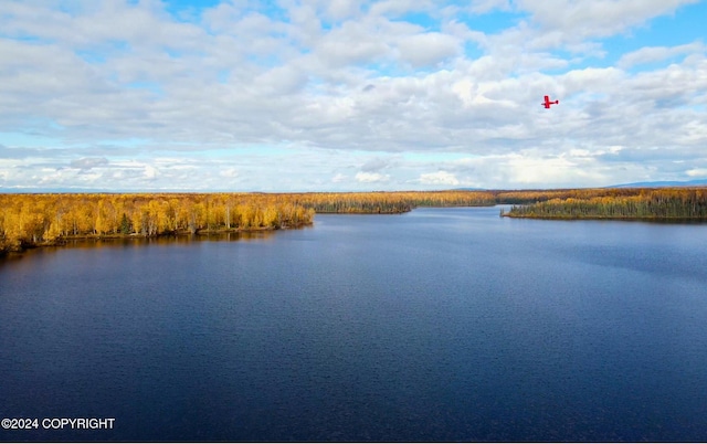 46573 S Fishermans Hop Rd, Willow, AK 99694