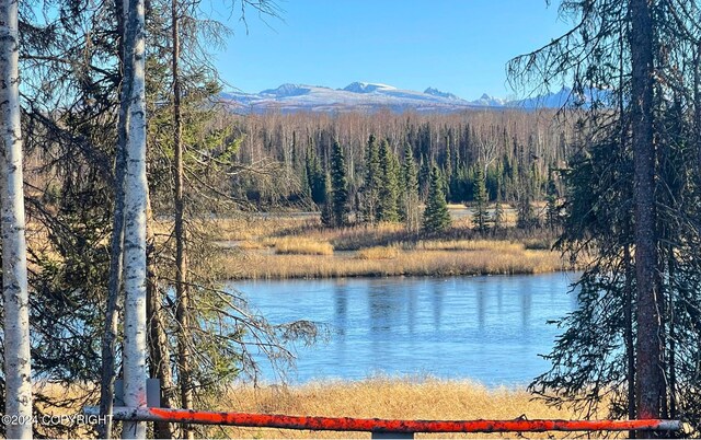 46573 S Fishermans Hop Rd, Willow, AK 99694