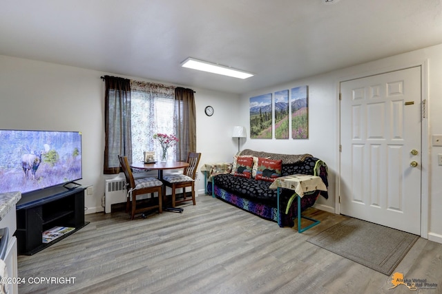 living room with light hardwood / wood-style flooring