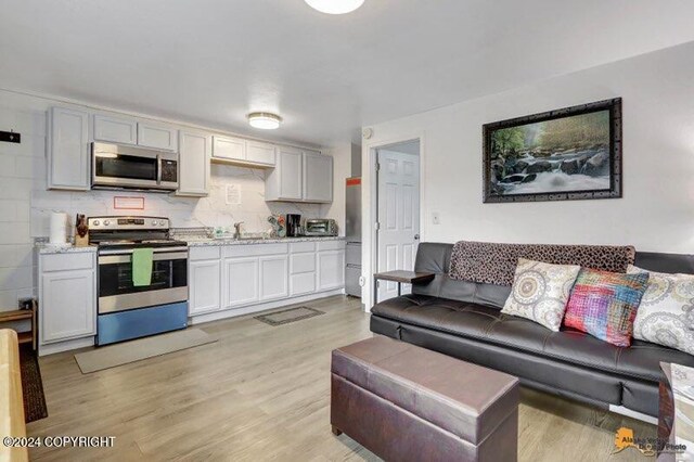 living room featuring sink and light wood-type flooring