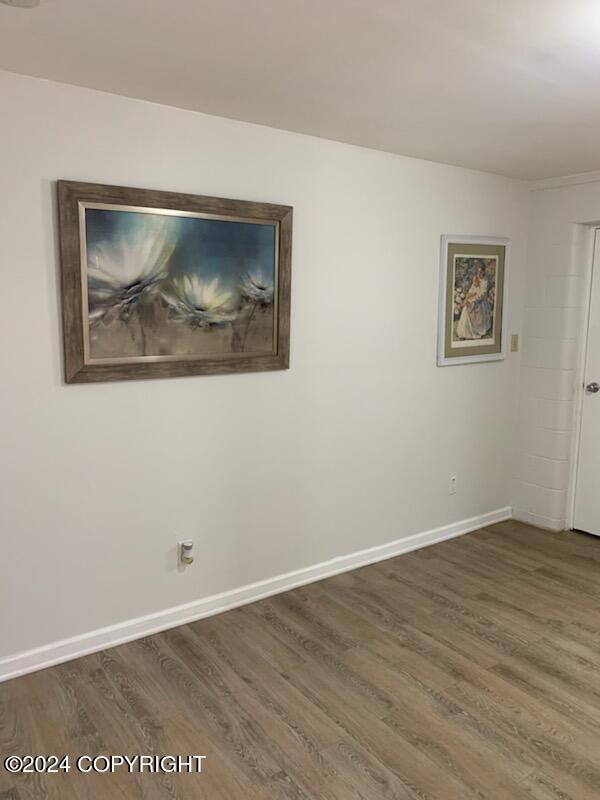 empty room featuring dark wood-type flooring