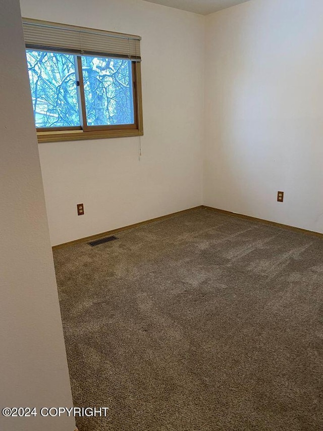 spare room featuring carpet