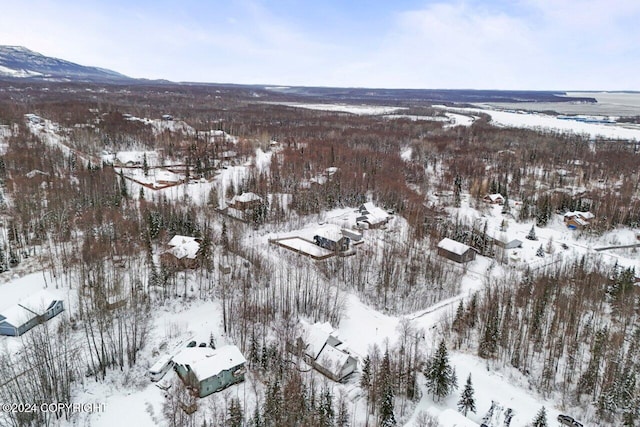 snowy aerial view featuring a mountain view