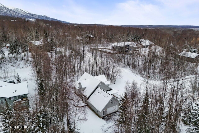 snowy aerial view featuring a mountain view